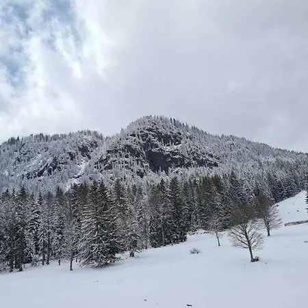 Apartamento In With Sauna Ski Storage And Garden *