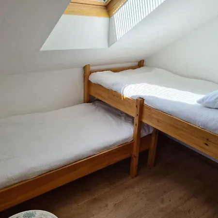 Apartamento In With Sauna Ski Storage And Garden Bad Mitterndorf